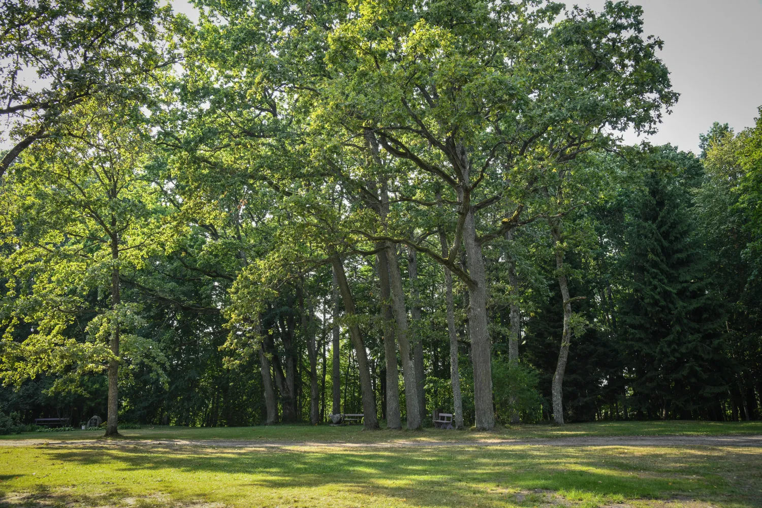 oak_park