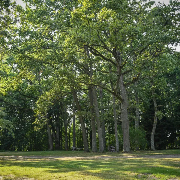 oak_park