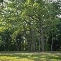 oak_park