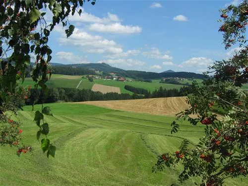ferienhof-schiermeier-kelchhamthyrnau-3cmfk
