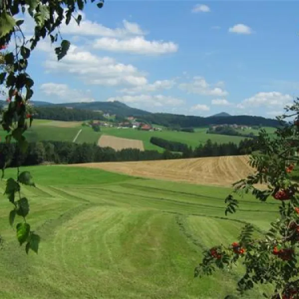 ferienhof-schiermeier-kelchhamthyrnau-3cmfk