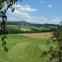ferienhof-schiermeier-kelchhamthyrnau-3cmfk
