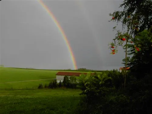ferienhof-schiermeier-kelchhamthyrnau-mhsf4