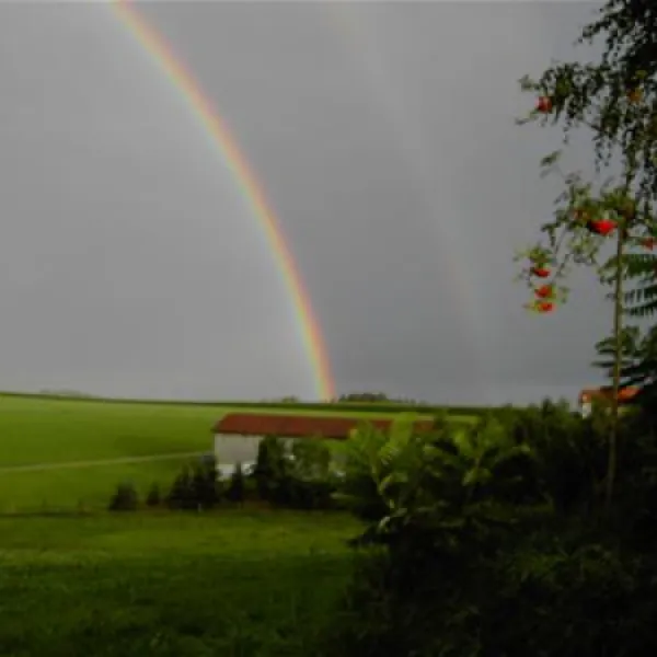 ferienhof-schiermeier-kelchhamthyrnau-mhsf4