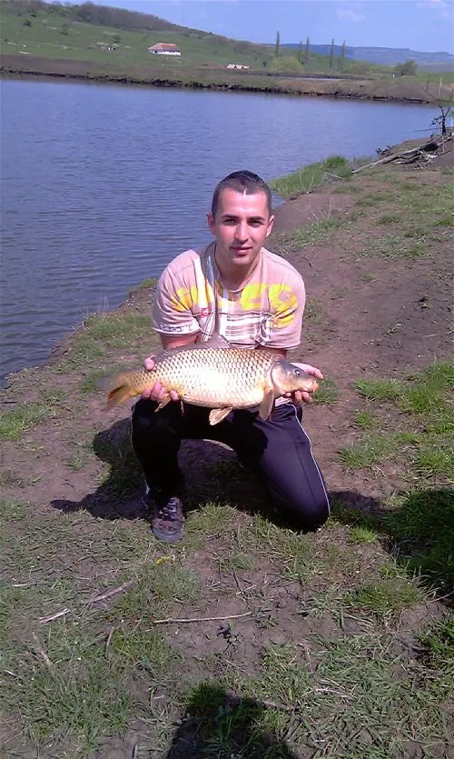 camping-turistic-piscicol-imleu-silvaniei-11sqd