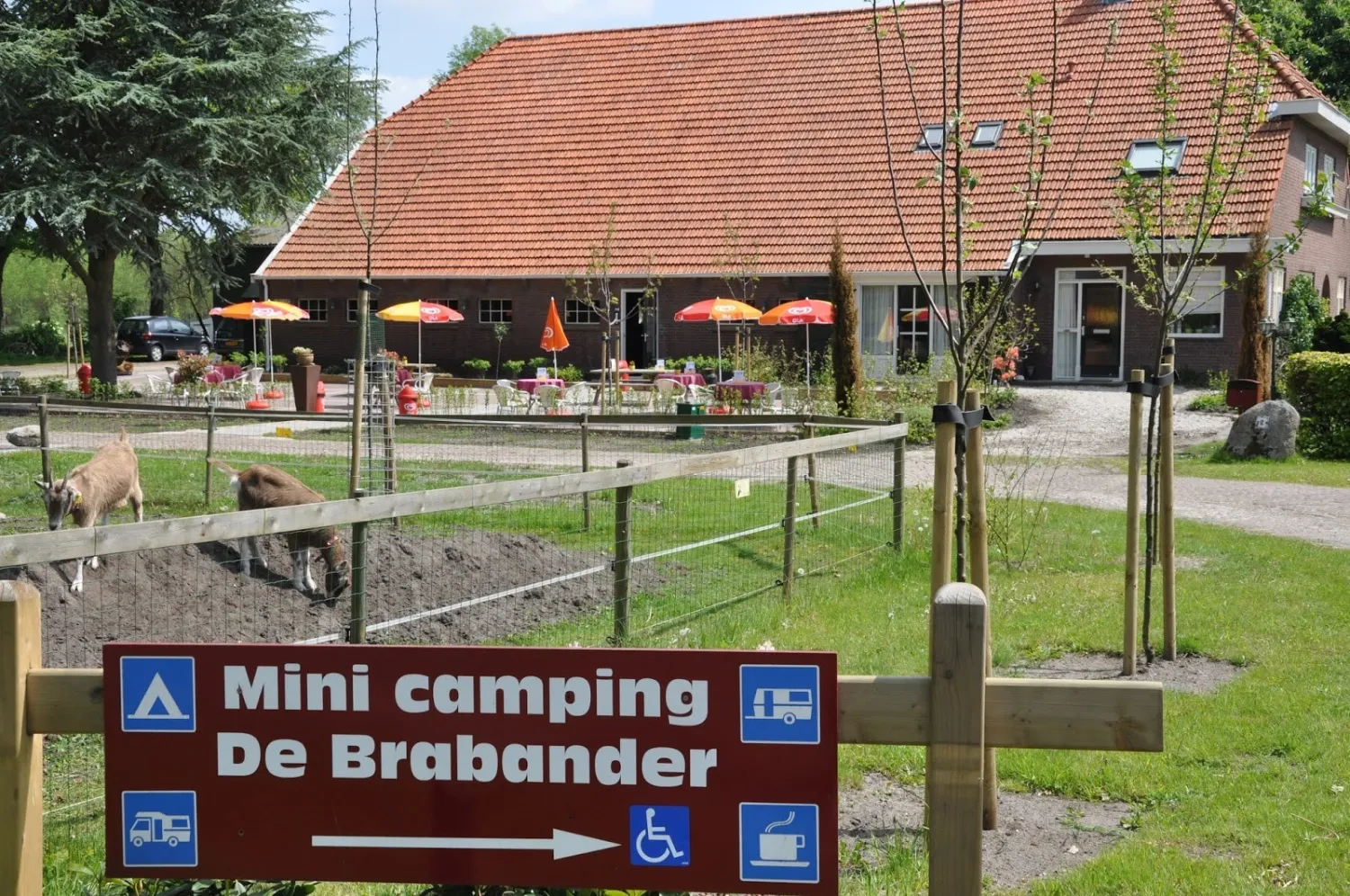 camping-laweda-schoonoord-cgogt