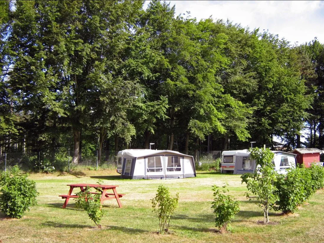 lgstr-camping-lgstr-xfkr0