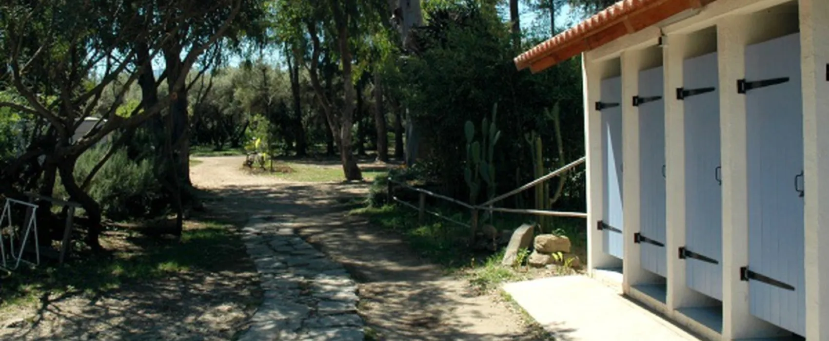 Calamar