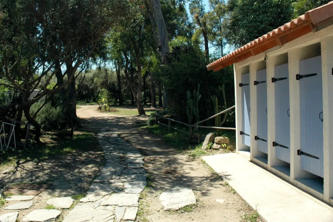 calamar-cervione-dqhhq