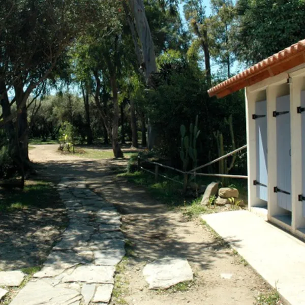 calamar-cervione-dqhhq