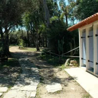 calamar-cervione-dqhhq