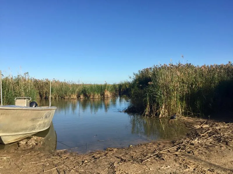 narrung-ferry-campground-narrung-bxuxl