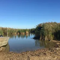 narrung-ferry-campground-narrung-bxuxl
