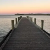 Narrung Ferry Campground