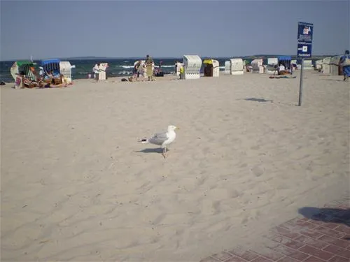 campingplatz-triangel-wangelsweissenhuser-strand-60bgl