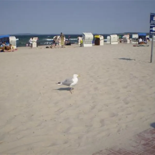 campingplatz-triangel-wangelsweissenhuser-strand-60bgl