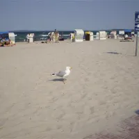 campingplatz-triangel-wangelsweissenhuser-strand-60bgl