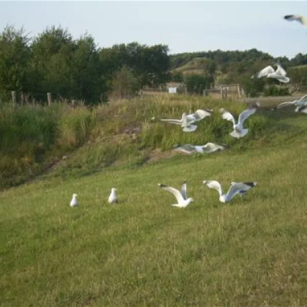 campingplatz-triangel-wangelsweissenhuser-strand-gw6zv