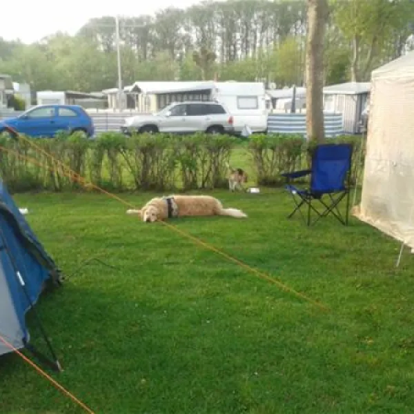 campingplatz-triangel-wangelsweissenhuser-strand-osncv