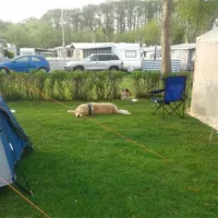 campingplatz-triangel-wangelsweissenhuser-strand-osncv