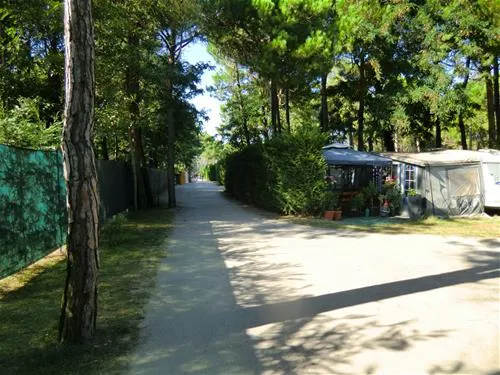 camping-dune-bibione-pineda-7aylw