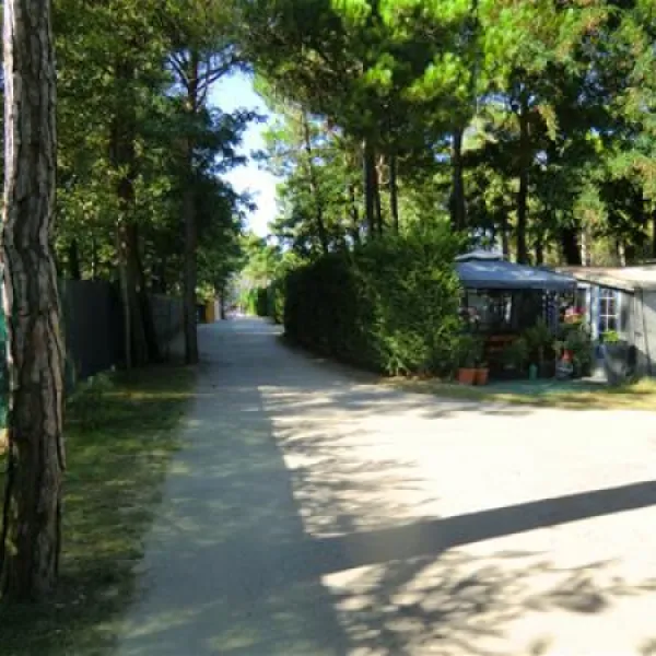 camping-dune-bibione-pineda-7aylw