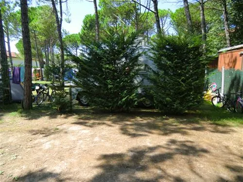 camping-dune-bibione-pineda-wvmsu
