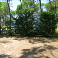 Camping Dune