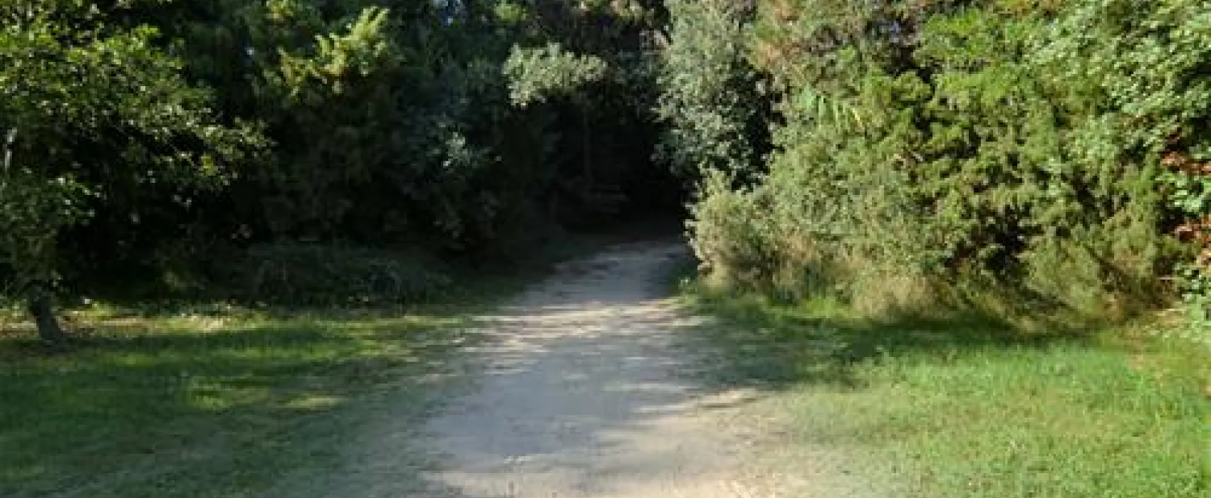 Camping Dune