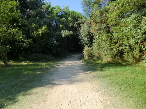 camping-dune-bibione-pineda-zzsta