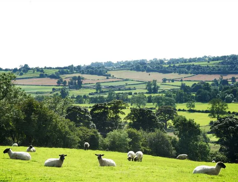 callow-top-holiday-park-ashbourne-40dn3