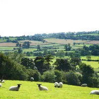 callow-top-holiday-park-ashbourne-40dn3