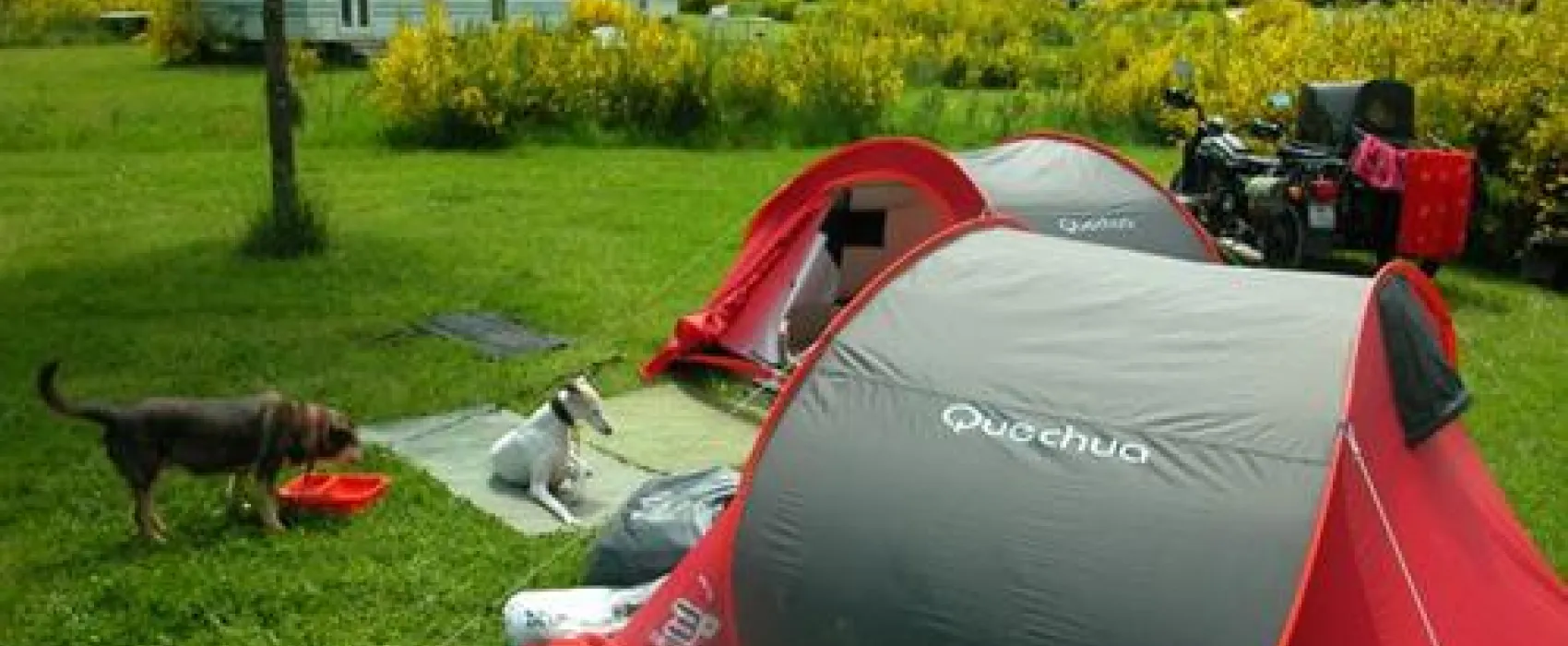 Camping Naturiste Domaine des Monts de Bussy