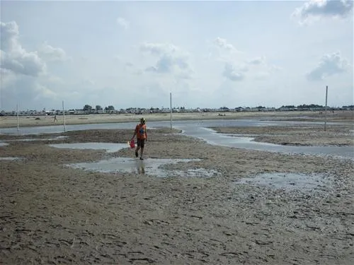 strand-und-familiencampingplatz-bensersiel-bensersiel-wp9hu