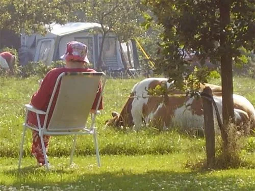 camping-de-ganzenhof-bladel-l54w7