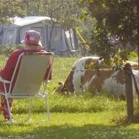 Camping De Ganzenhof