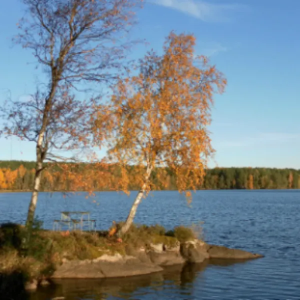 lngsjn-stugor-camping-ab-ankarsrum-e4wf8