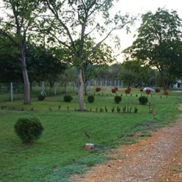 camping-budzak-apatin-aiyni