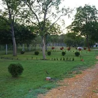 camping-budzak-apatin-aiyni