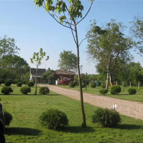 camping-budzak-apatin-le8hw