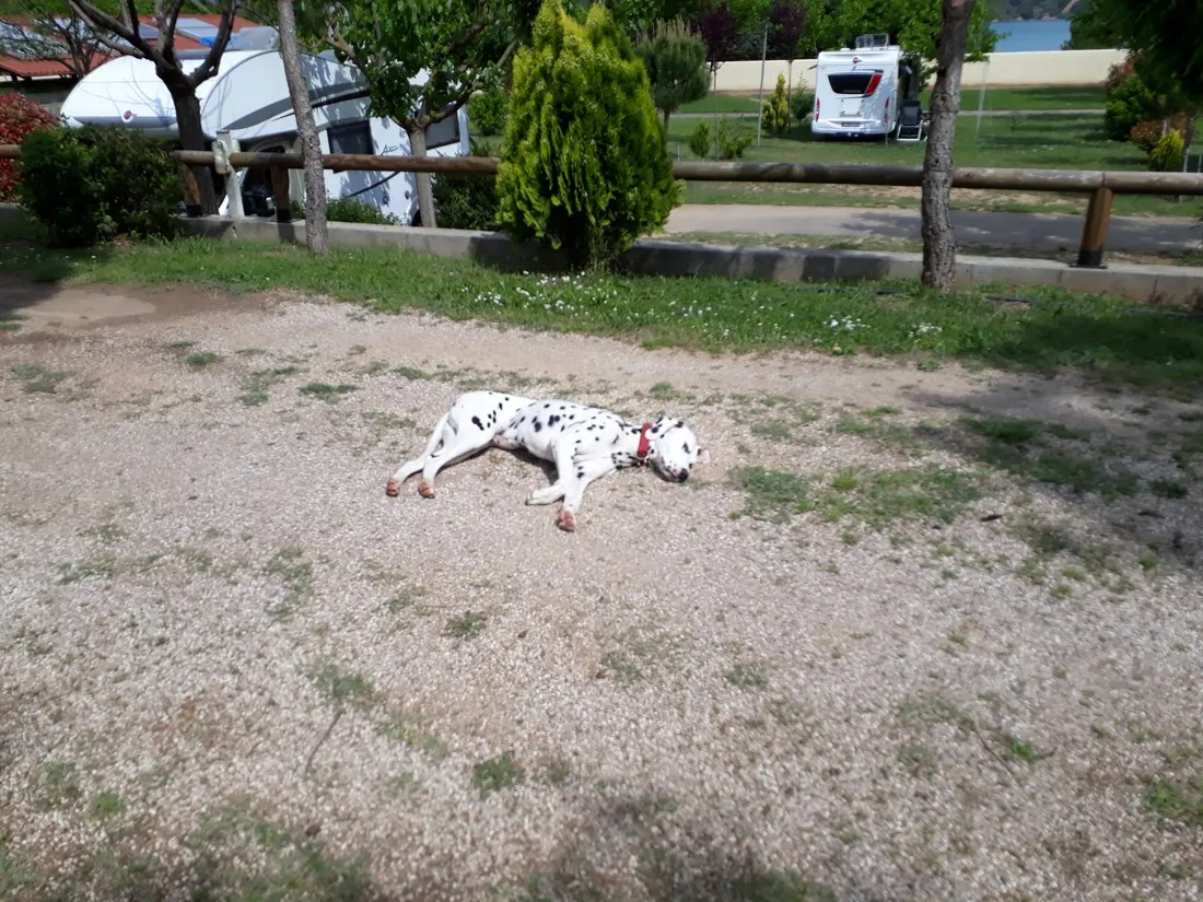 camping-lago-barasona-huesca-zfi7a
