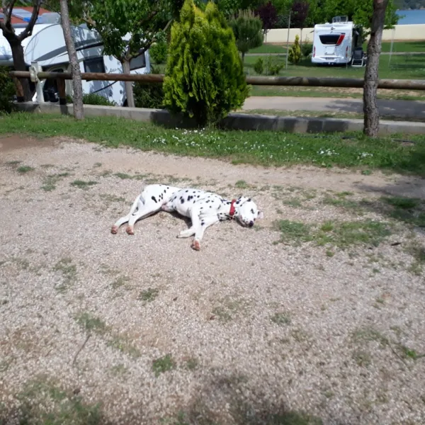 camping-lago-barasona-huesca-zfi7a