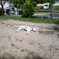 camping-lago-barasona-huesca-zfi7a