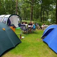 vakantiecentrum-de-hertenhorst-beekbergen-fqojl