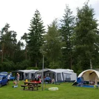 vakantiecentrum-de-hertenhorst-beekbergen-scsae