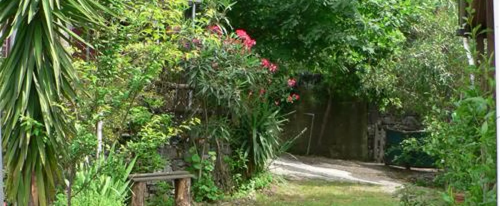 Camping La Pineta
