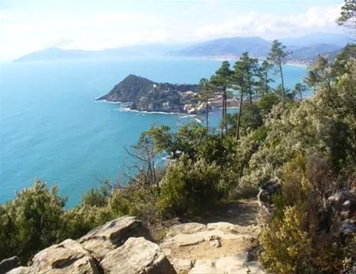 camping-la-pineta-riva-trigoso-sestri-levante-uhqag