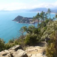 camping-la-pineta-riva-trigoso-sestri-levante-uhqag