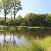 Eurocamping Vessem
