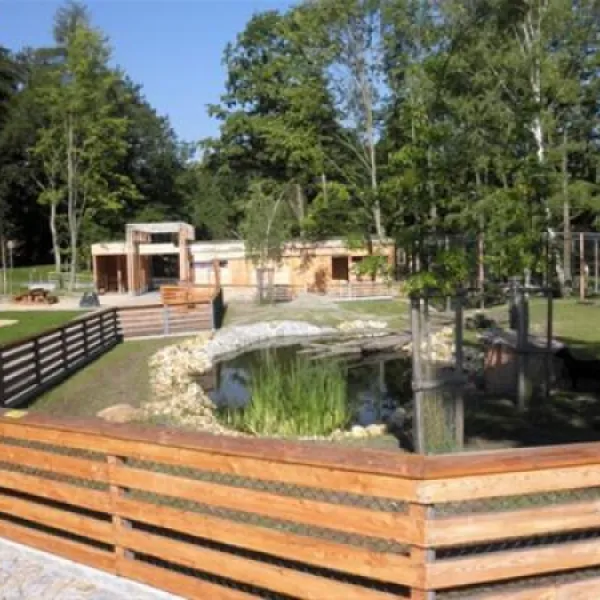 camping-amerika-frantikovy-lzn-3munf